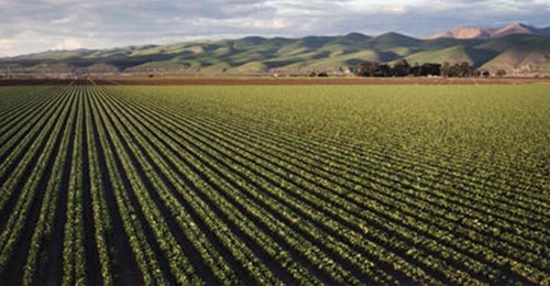 Agendas Globais de Desenvolvimento